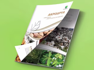 Emphyton