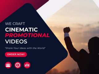 I will create high quality promotional videos for your business…