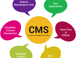 Custom CMS Development