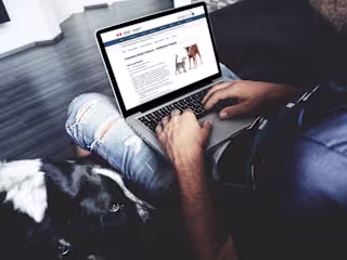 Overhauling Canada's Veterinary Health Products Platform