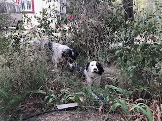 The Playdate Part 2