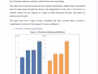 Business Intelligence Report for New-Ark Shoes Ltd.