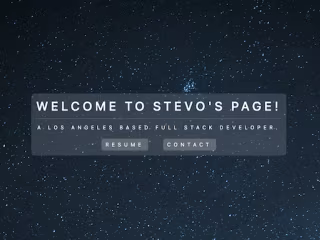 Stevo’s Portfolio