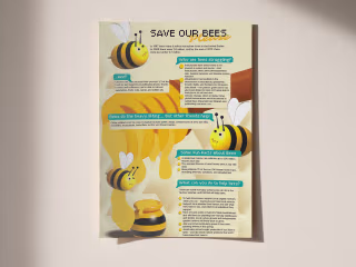 Infographic Design - Bee Awareness Project