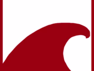 THE CORRUGATED WAVE