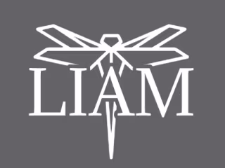 Logo Design for my Brand Identity