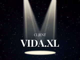 Comprehensive Digital Marketing/Translation for vidaXL