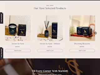 A Shopify Store