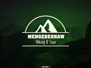 Logo and Brand Identity Design