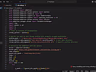 Selenium Web Scraper for Product Data from AlfaGift.Id Website