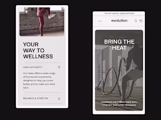 Defining Evolution Fitness