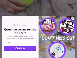 Shopify marketing 