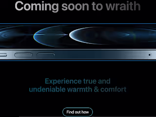Webflow - wraith apparrel