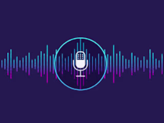 Voice assistant 
