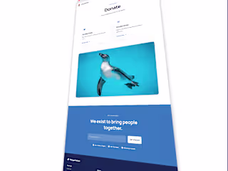🐧💙 PenguProtect Web Design