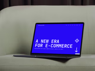 Visual identity, website design & development | CheckoutDAO