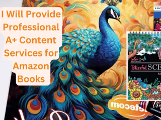 A plus content for amazon kdp