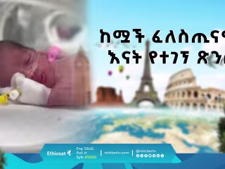 Documentary 