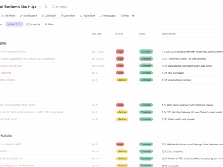 Project Management for a Business Launch