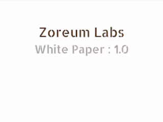 Whitepaper sample 1