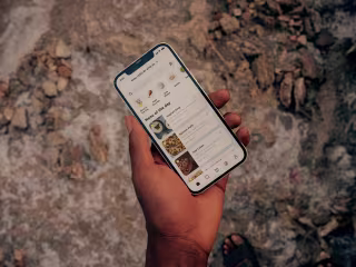 Vita Verde • UI/UX Design on Behance