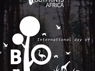 Footprints Africa 🌱 on Instagram: “At Footprints Africa we env…