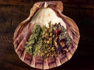 Herbalist