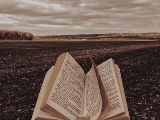 I'll write an amazing fiction book for you.