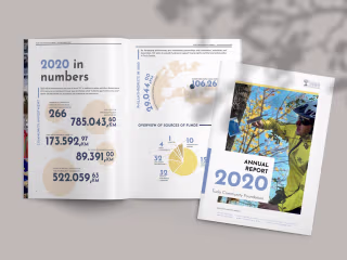 ANNUAL REPORT - DTP and publication