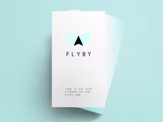 FLYBY
