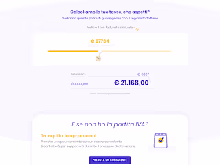 Wordpress Web Development - Online Tax Service Platform