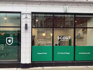 Scout Veterinary Care Welcome Email Flow