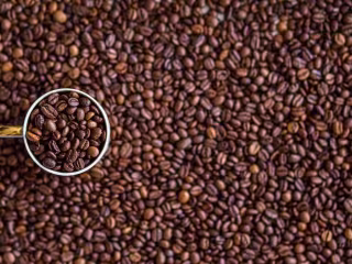 A Look Into Different Types of Coffee Roasts - B2B Blog