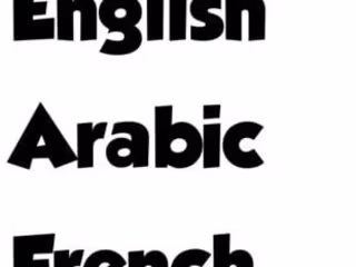 translation