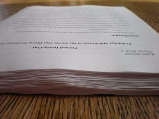 Essay and Undergraduate thesis writer