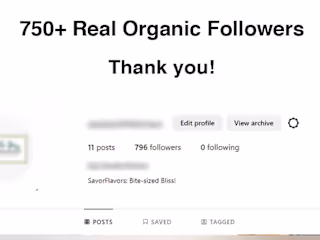 Instagram Organic Followers Growth