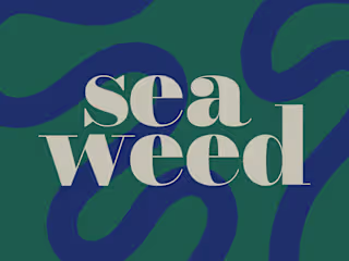 Seaweed