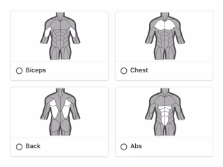 Muscle Group Covers