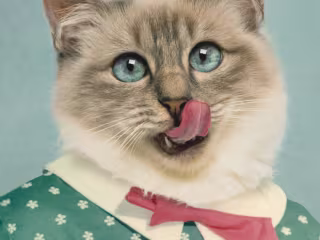 Pretty Pet Portrait Composites