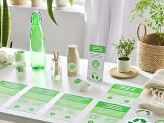 Sustainable Living Blog Series for Eco-Conscious Consumers