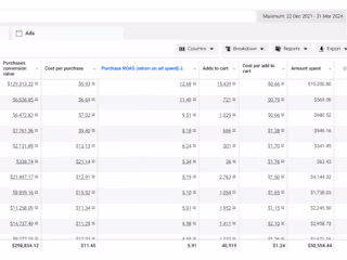 Scaling Meta Ads for Maximum ROI