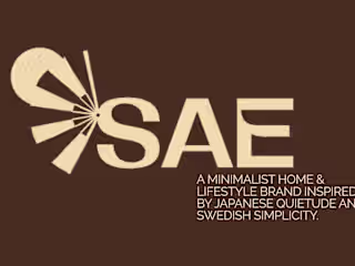 Brand Identity Development for OSAE