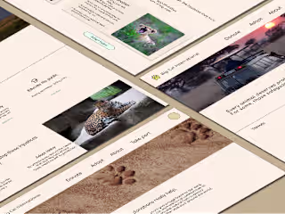 Big cat International mobile app