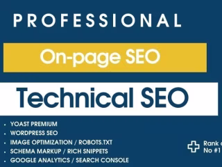 Professional On page Seo for your website