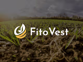 Web design - FitoVest