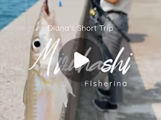 Content Creation for Instagram Reels