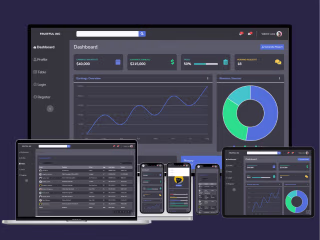 Enhancing the SaaS product and Driving Growth at FruitfulInc. 