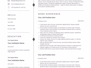 Resume Writing for CEO Position