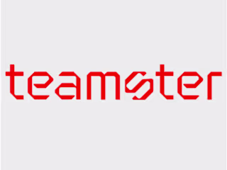 Website Copy For Teamster