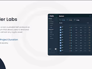 Led Research, Usability Analysis, and User Design for Defi Swap